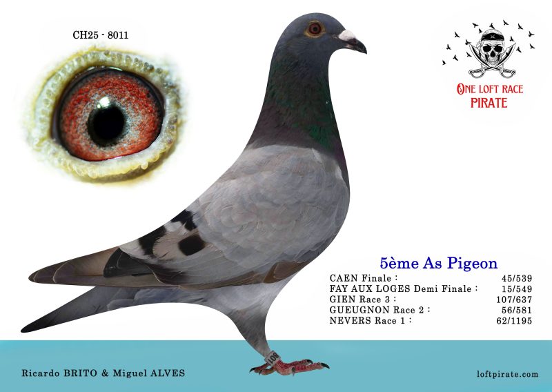 N° 02 : CH-2025-8011  F – Ricardo BRITO & Miguel ALVES