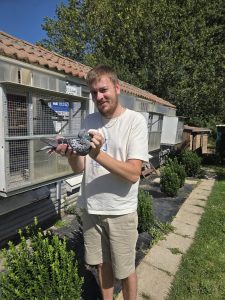 N° 37 : Steven DOURNEL