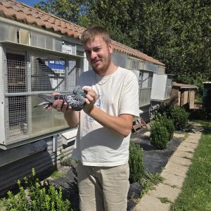 VENTE DOURNEL STEVEN : SPECIAL PORSCHE 911 (BE)