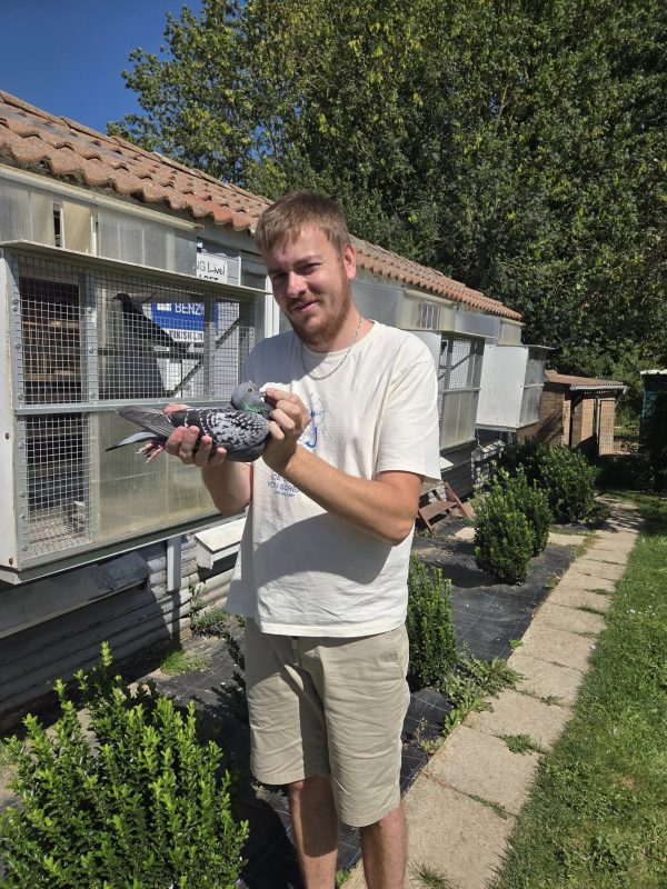 N° 37 : Steven DOURNEL