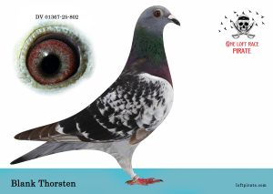N° 58 : DV-0137-25-802 F – BLANK Thorsen