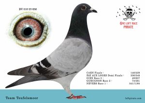 N° 46 : DV-016-25-656 F – Team Teufelsmoor