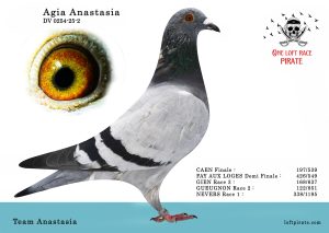 N° 49 : DV-0254-25-2 F – Team Anastasia