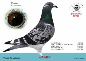 N° 52 : DV-0254-25-6 F – Team Anastasia