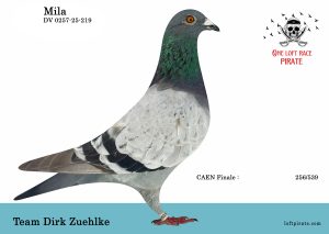 N° 50 : DV-0254-25-219 M – Team Dirk ZUEHLKE