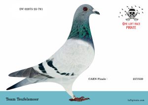N° 53 : DV-02875-25-791 F – Team Teufelsmoor