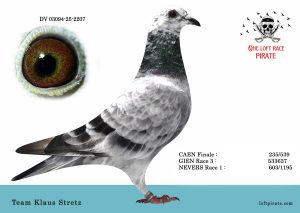 N° 60 : DV-03094-25-2207 F – Team Klaus Stretz