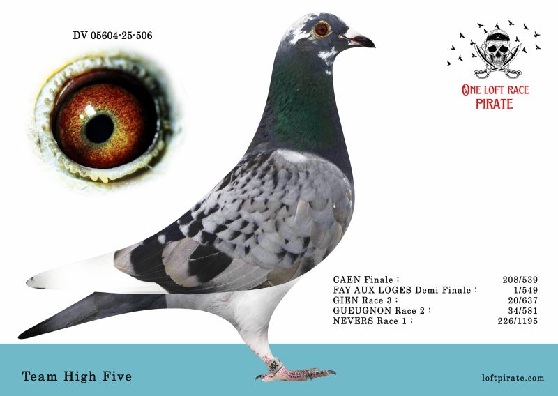 N° 61 : DV-05604-25-506 F – Team Hight Five