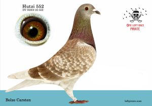 N° 56 : DV-05604-25-552 F « aile cassée ne peux pas voler » – BOLZE Carsten