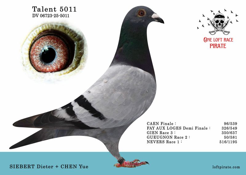N° 57 : DV-06723-25-5011 M – SIEBERT Dieter + CHEN Yue