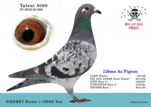 N° 62 : DV-06723-25-5068 F – SIEBERT Dieter + CHEN Yue