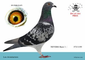 N° 64 : DV-07608-25-673 F – Les Aventuriers