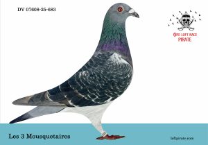 N° 58 : DV-07608-25-683 F – Les 3 Mousquetaires