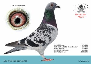 N° 59 : DV-07608-25-684 M – Les 3 Mousquetaires