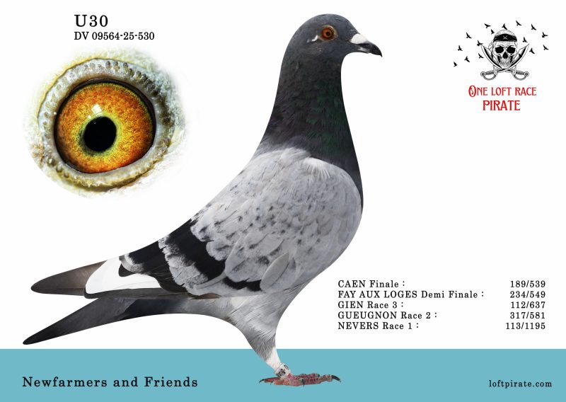 N° 63 : DV-09564-25-530 F – Newfarmers and Friends