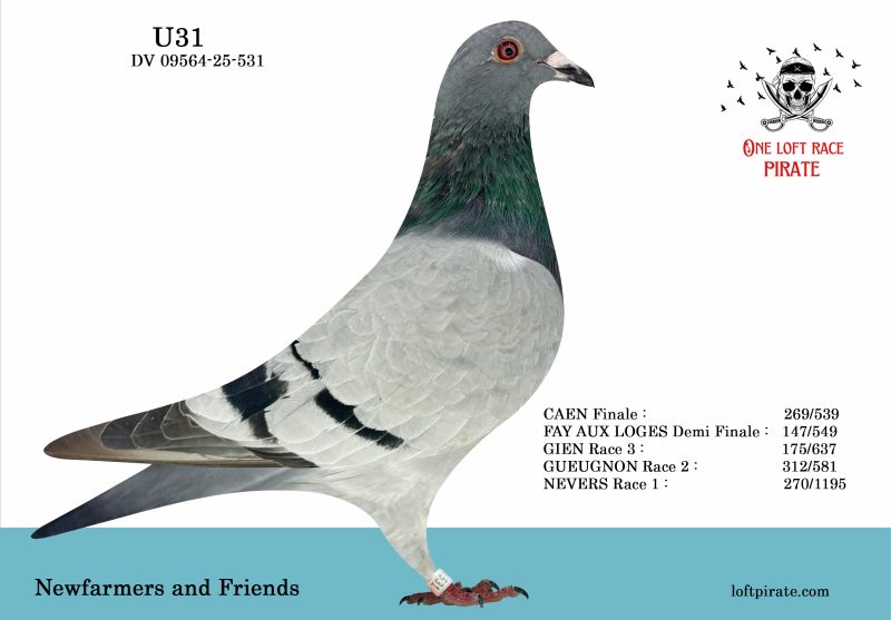 N° 64 : DV-09564-25-531 F – Newfarmers and Friends