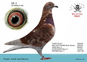 N° 65 : DV-09580-25-1001 F – Trepte, Arndt und Marcus