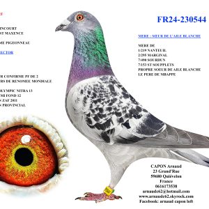 Fr24 230544