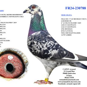 Fr24 230788