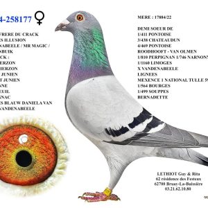Fr24 258177