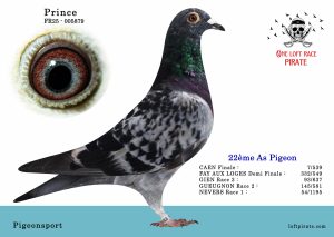 N° 03 : FR-2025-5879  F – Pigeonsport