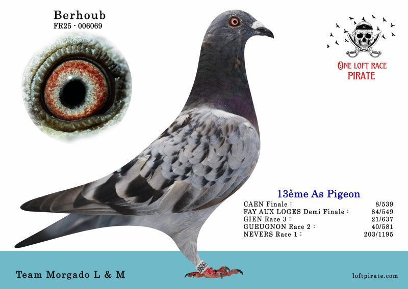 N° 01 : FR-2025-06069 F – Team Morgado L&M