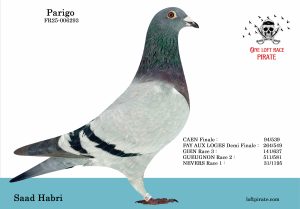N° 04 : FR-2025-6293  M – Saad Kenitra