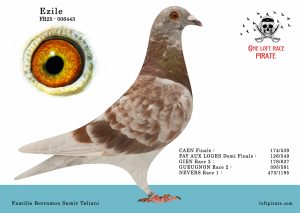 N° 01 : FR-2025-006443 F – Familia Berramou Samit Taliani