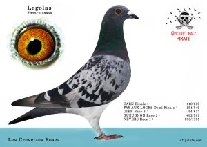 N° 02 : FR-2025-18864 F – Les Crevettes Roses