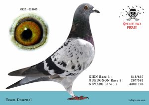 N° 04 : FR-2025-023605 F – Team DOURNEL