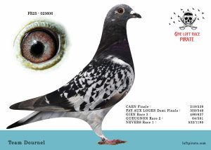 N° 04 : FR-2025-23606 F – Team Dournel