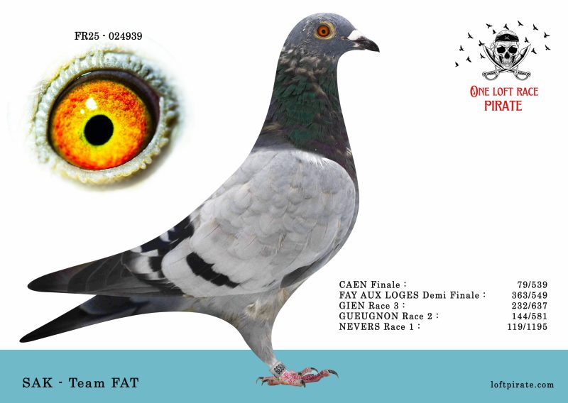 N° 05 : FR-2025-24939 F – SAK – Team FAT