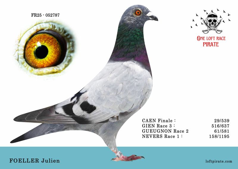 N° 06 : FR-2025-52787 M – FOELLER Julien