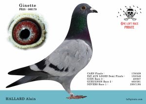 N° 07 : FR-2025-66179 M – HALLARD Alain