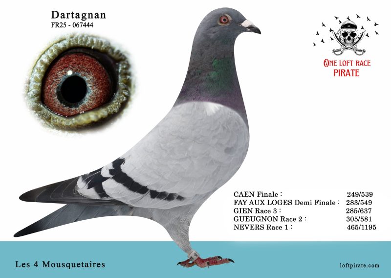 N° 10 : FR-2025-67444 M – Les 4 Mousquetaires