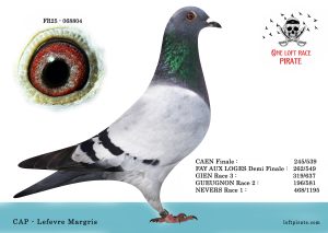 N° 07 : FR-2025-68804 F – CAP – Lefevre Margris