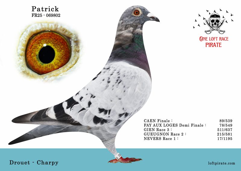 N° 11 : FR-2025-69802 M – Drouet – Charpy