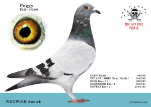 N° 12 : FR-2025-70549 F – FEROUELLE J.