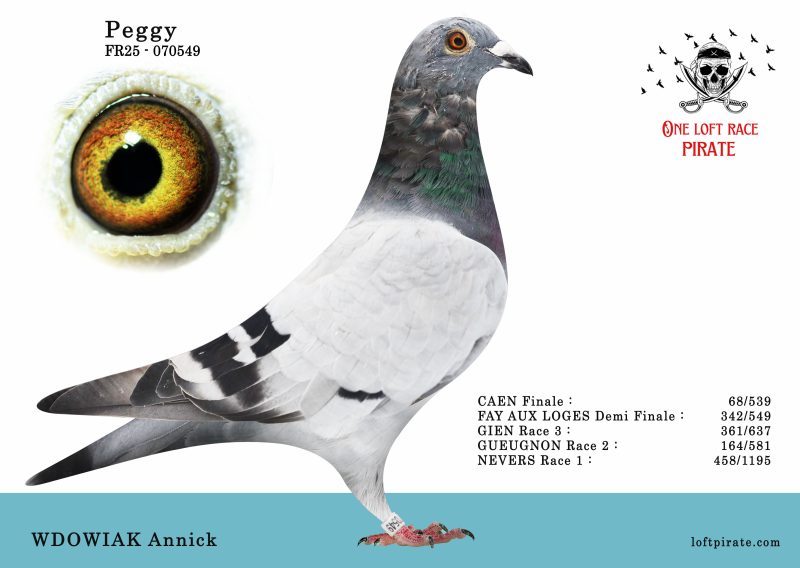 N° 12 : FR-2025-70549 F – FEROUELLE J.