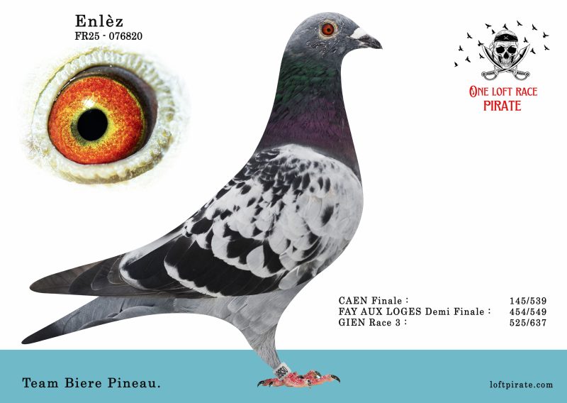 N° 12 : FR-2025-76820  F – Team Pierre Pineau