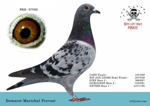 N° 11 : FR-2025-77032  M – Demaret Marichal Provost