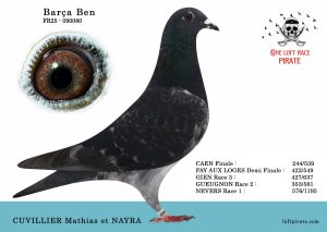N° 12 : FR-2025-90080  F – CUVILLIER Mathias et NAYRA