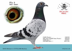 N° 13 : FR-2025-90097  M – KOCE Mehmet et CUVILLIER Mathias