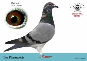 N° 14 : FR-2025-91551  F – Les Florangeois