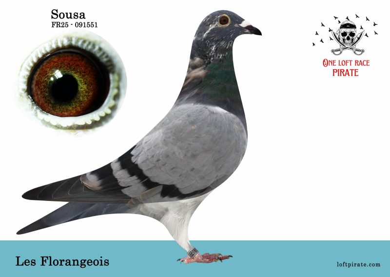 N° 14 : FR-2025-91551  F – Les Florangeois