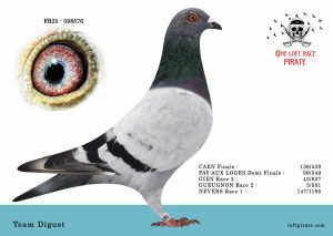 N° 16 : FR-2025-98576  F – Team DIGUET