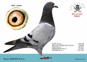 N° 13 : FR-2025-98600 F – Team BDDFR Paris