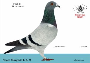 N° 14 : FR-2025-103003 F – Team Morgado L & M