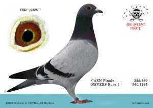 N° 15 : FR-2025-103907 M – KOCE Mehmet et CUVILLIER Mathias
