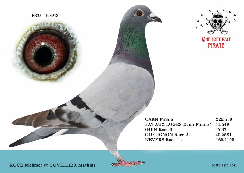 N° 15 : FR-2025-103918 F – KOCE Mehmet et CUVILLIER Mathias